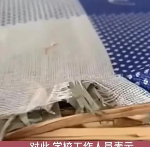 教育局回应来了！天津中学PG电子平台用杂草充床垫家长：花3000就买个这？(图11)